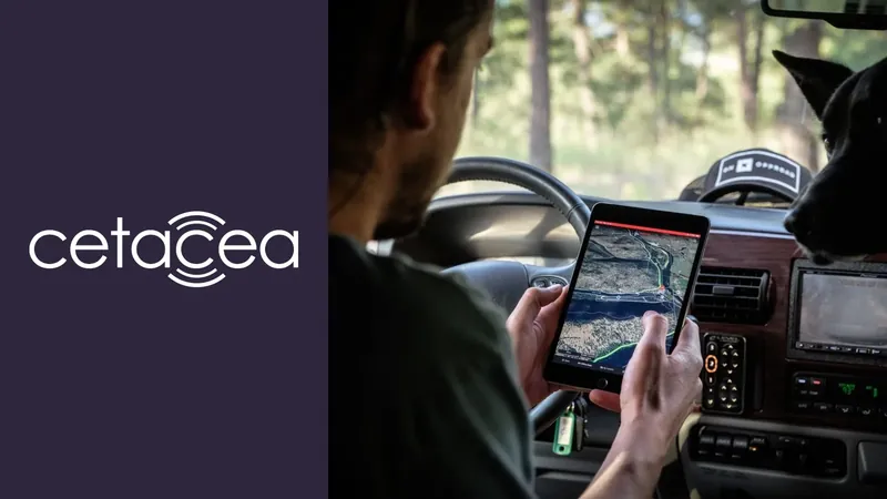 Cetacea case study cover