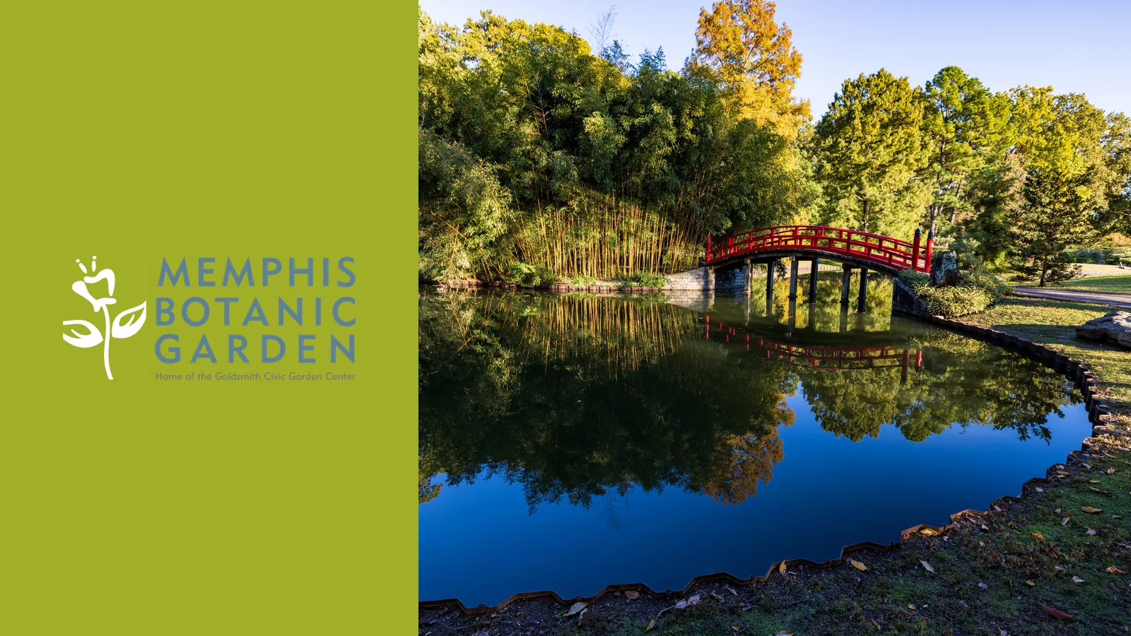 Memphis Botanic Garden brand and project imagery